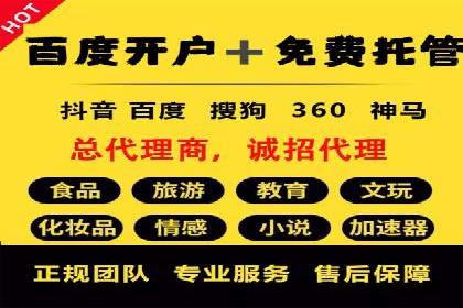 体育赛事宣传中的SEM托管服务：从策划到执行